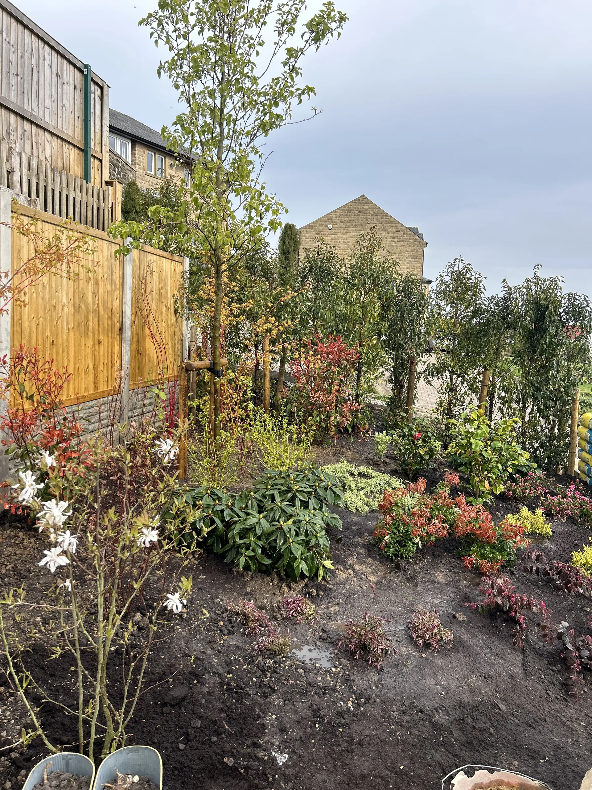 Soft landscaping work in Stockport (6)